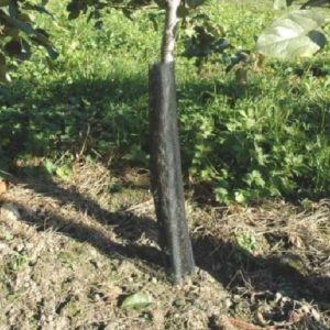 Protezione selvaggina Flexguard