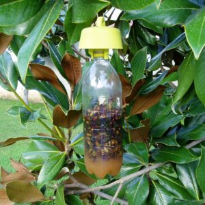 Tap Trap biotrappola