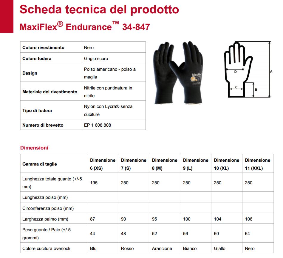 taglia 8