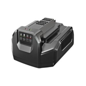 Ego caricabatteria standard CH2100E